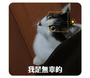 456307814