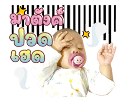 456323677
