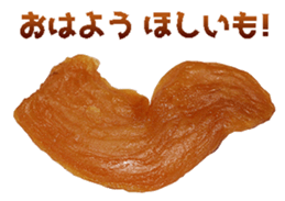 456366623