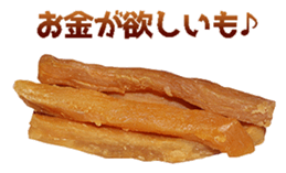 456366624