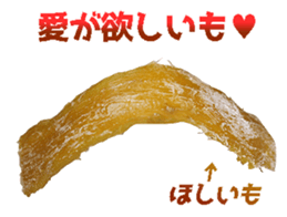 456366625