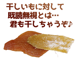 456366627
