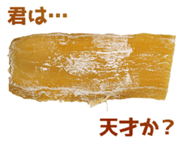 456366634