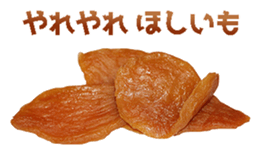 456366637