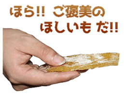 456366646