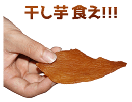 456366649