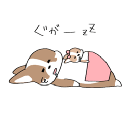456367944