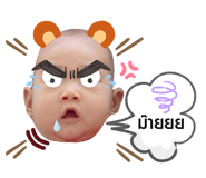 456379532