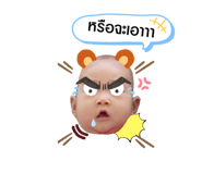 456379541