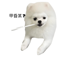 456383063