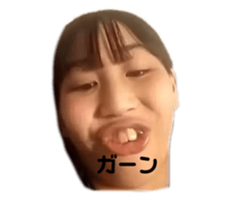 456451886