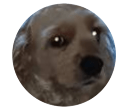 456452685