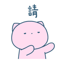 456454495