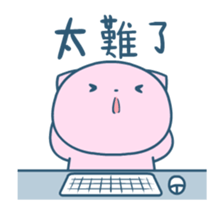 456454504