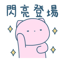 456454507