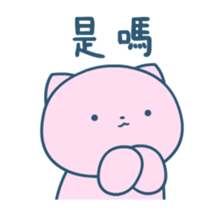 456454508