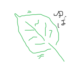456478355