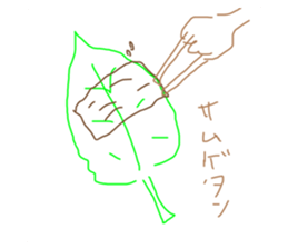 456478356