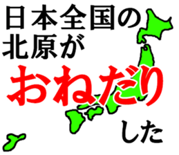 456486956