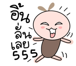 45653813