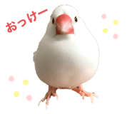 456546174