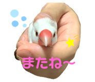 456546175