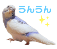 456546176