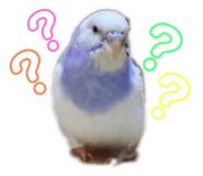 456546179