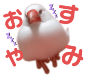 456546181