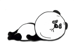 4565637