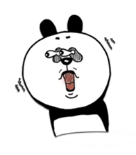 4565659