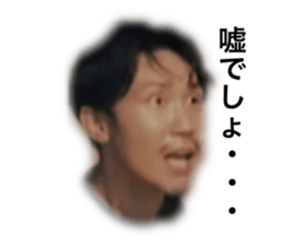 456608291
