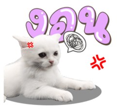 456619335