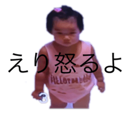 456619509