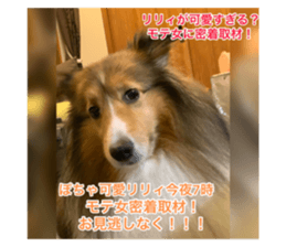 456646254
