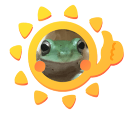 456648874