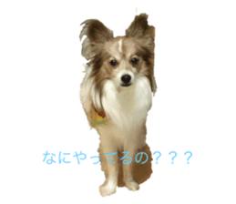 456650207