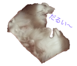 456650210