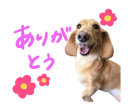 456650799