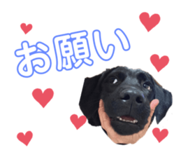 456656726