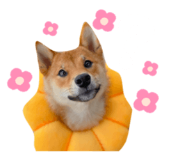 456723089