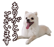 456732046