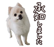 456732047