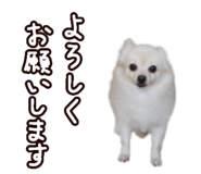 456732048
