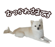 456732049