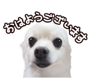 456732050