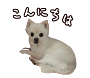 456732051