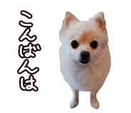 456732052