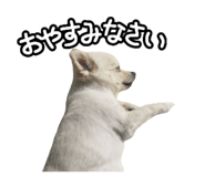 456732053