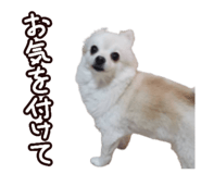 456732054